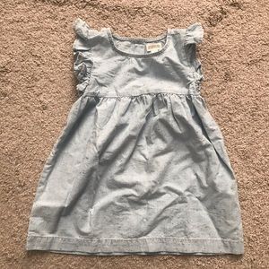 NWT Gymboree Toddler Girl Dress